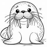 Walrus Coloring Pages  Coloring Gem sketch template