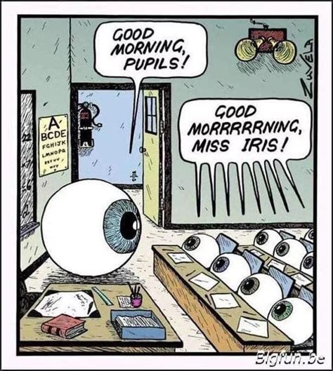 Pin by Jennifer Lane on Funny | Eye jokes, Eyes meme, Optometry humor