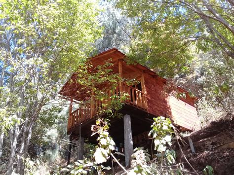 Cabaña en el Bosque de San José del Pacifico 2 - Cabins for Rent in San Mateo Rio Hondo, Oaxaca ...