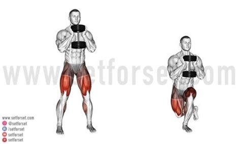 What Muscles Do Lunges Work? - SET FOR SET