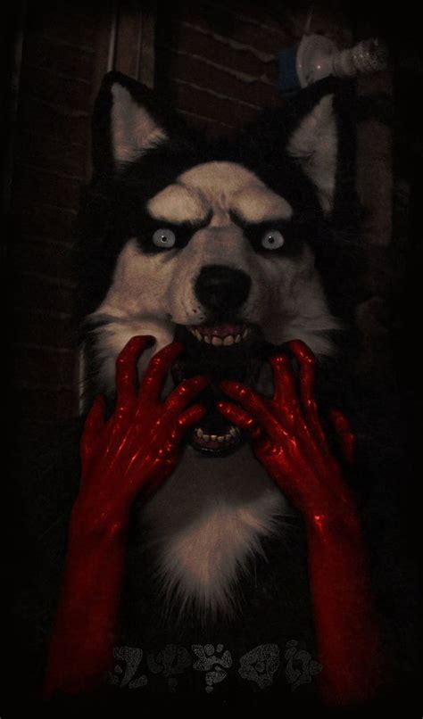 Smile of Dog, creepypasta dog scary HD phone wallpaper | Pxfuel