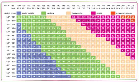 Female Body Fat Percentage Chart