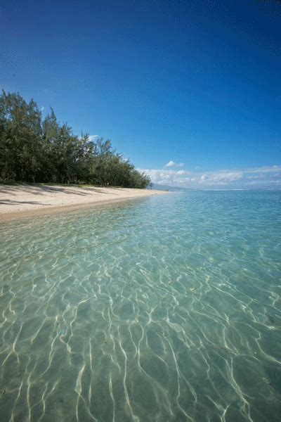 Plage de l'Étang Salé