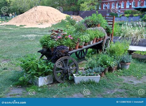 Wooden cart with flowers stock image. Image of garden - 123807833