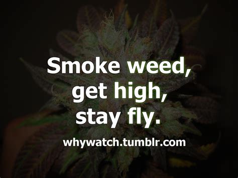 Weed Quotes And Sayings. QuotesGram