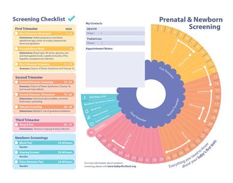 Prenatal and Newborn Screening Brochure | Baby's First Test | Newborn Screening | Baby Health