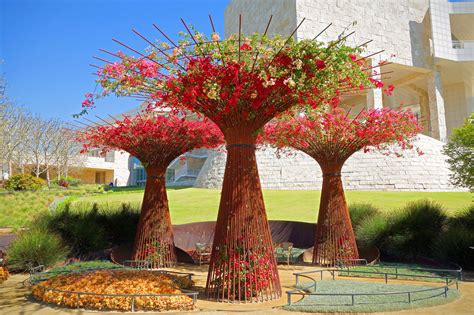 Getty Museum Gardens Study 1 | Getty museum, Backyard, Outdoor