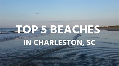 The 5 Best Beaches in Charleston, South Carolina