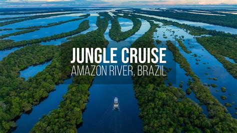 Amazon Rainforest in Brazil - Jungle Cruise on the Amazon River - YouTube