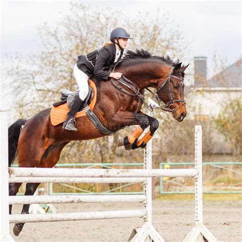 Young Female Rider on Bay Horse Jump Over Hurdle Stock Image - Image of ...