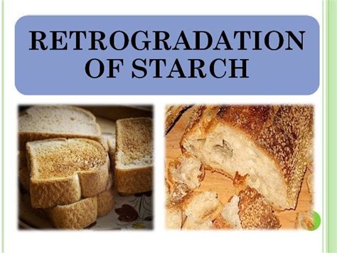 modified starch