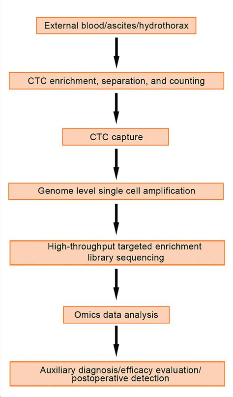 | Detection process and application of circulating tumor cells. | Download Scientific Diagram