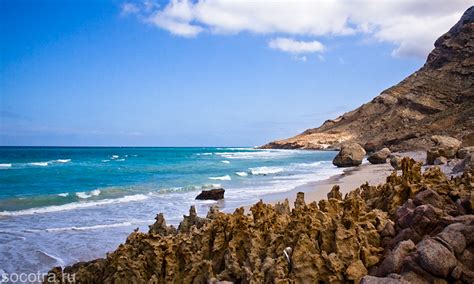 Wild beaches in Socotra