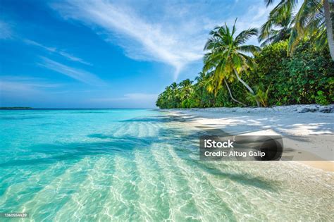 Maldives Tropical Island Stock Photo - Download Image Now - Beach ...