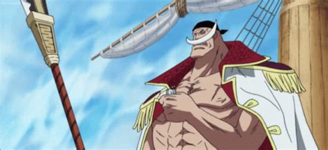 Whitebeard Edward Newgate GIF - Whitebeard Edward Newgate One Piece - Discover & Share GIFs