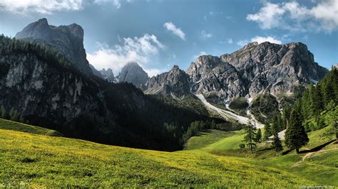 Beautiful Mountain Meadow wallpaper | 1920x1080 | #26850