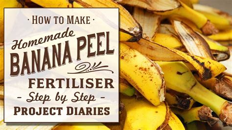 How To Use Banana Peel As Fertilizer - Banana Poster