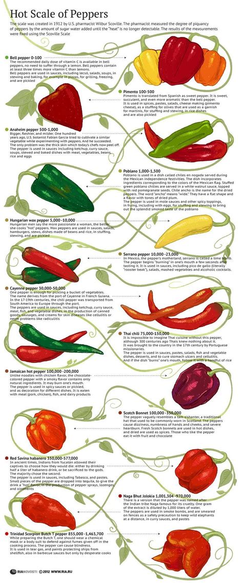 Sputnik International | Stuffed peppers, Stuffed hot peppers, Hot pepper seeds