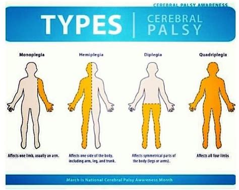 To help people understand Cerebral Palsy, which is a catch-all diagnosis. My son, Timmy, has ...