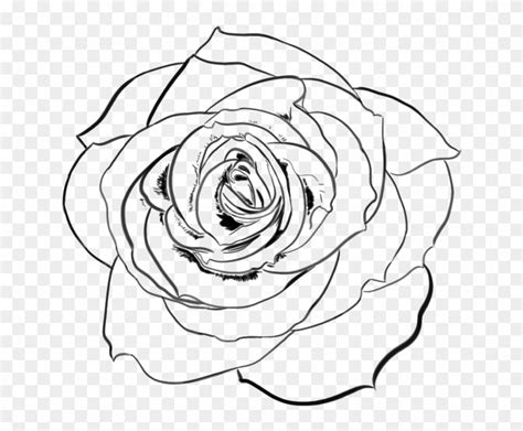 Rose Drawing Png - Transparent Rose Line Art, Png Download - 718x643 ...