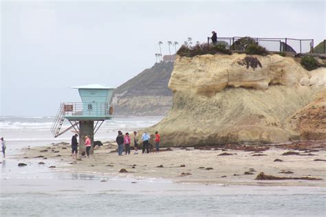 Cardiff State Beach – North Beach, Encinitas, CA - California Beaches