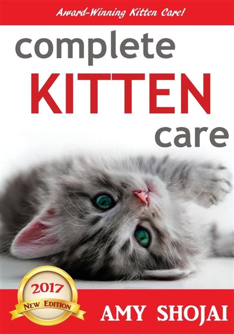 Behavior and Training Books For Cat Owners - JammieCat.com