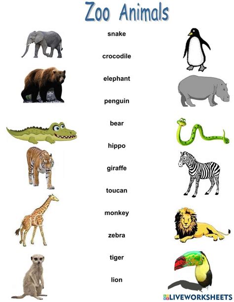 Zoo Animal and Their Diets worksheet