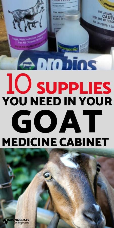 10 Supplies You NEED in Your Goat Medicine Cabinet