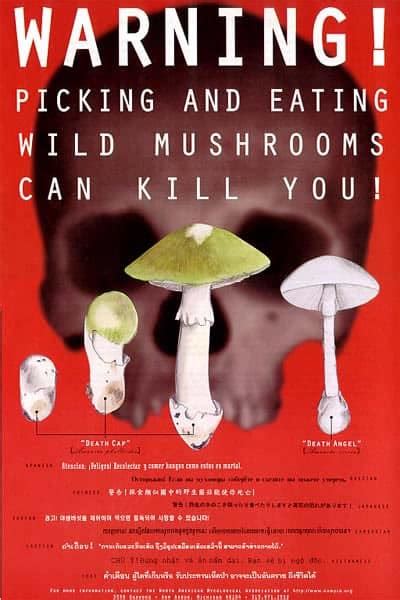 Mushroom Poisonings – Cascade Mycological Society