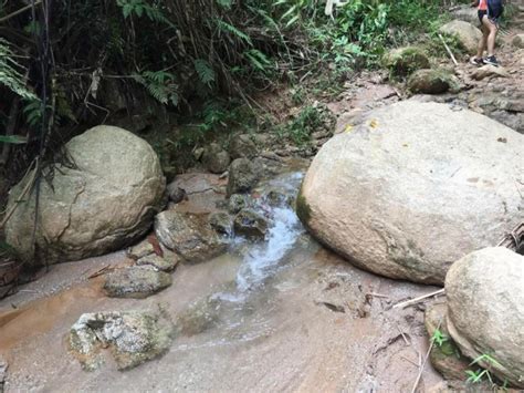 Guide to Hiking in Cameron Highlands in Search of the Elusive Rafflesia