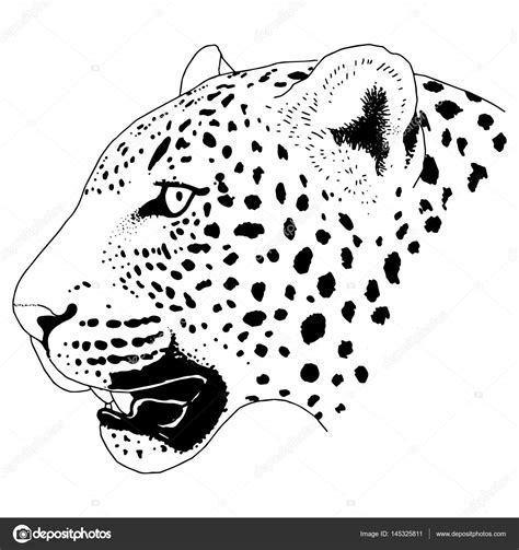 Leopard face tattoo ,Vector illustration, print — Stock Vector ...