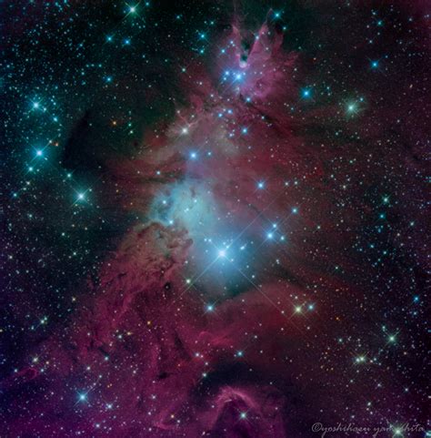 CHRISTMAS TREE CLUSTER & CONE NEBULA | Telescope Live