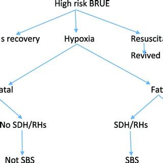 Assuming that the traditional AHT mechanism theory is correct, high... | Download Scientific Diagram