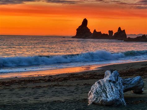 12 Best Beaches in Washington State - The Travel Area