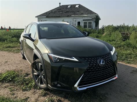 The 2021 Lexus UX 250h Can Comfortably Take You to Exotic Places Like ...