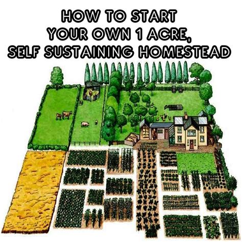 How to Start Your Own 1-Acre Self-Sustaining Homestead