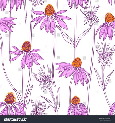 2,999 Echinacea Pattern Images, Stock Photos & Vectors | Shutterstock