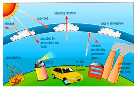 Environmental Chemistry In JEE | Ozone Formation Reaction Mechanism, JEE Class 11-12