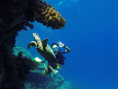 Diving Course in Hurghada - Scuba Diving Hurghada | divershurghada.com