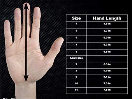 Hockey Goalie Glove Size Chart