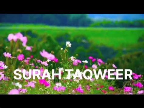 SURAH TAQWEER#surah #quranrecitation #quran #tilawat #surahtaqweer - YouTube