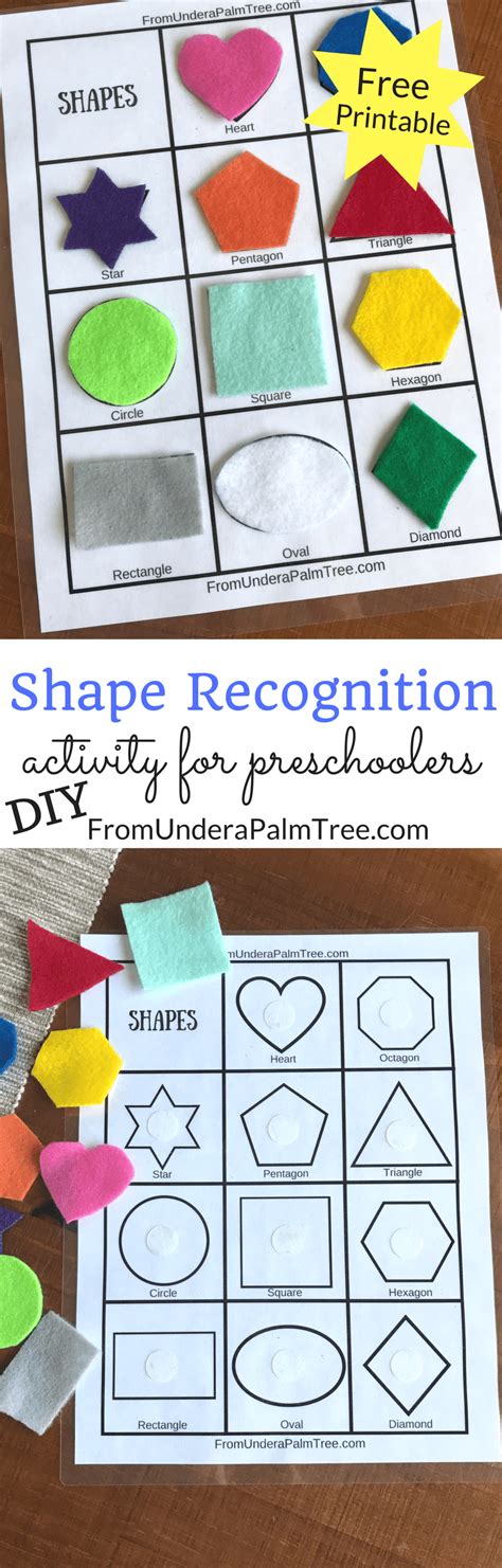 Shape Recognition Activity - From Under a Palm Tree | Preschool activities, Toddler activities ...