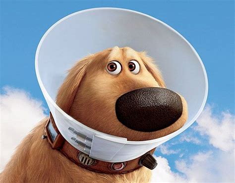 Top 5 Disney Pixar Movie Moments | Dug the dog, Disney dogs, Up dog