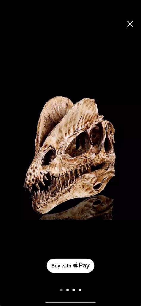 Dilophosaurus Skull - Etsy