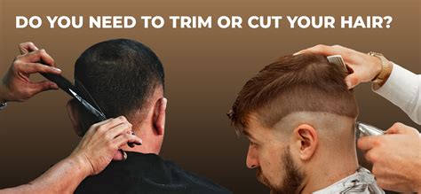 Do you need to trim or cut your hair? - Salon Aura