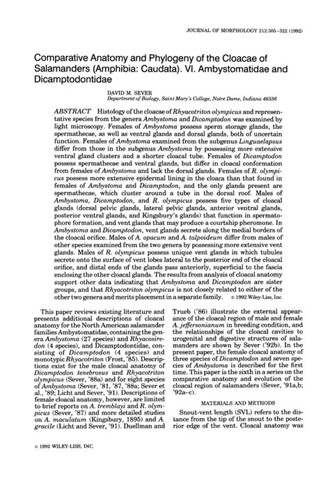 Comparative Anatomy and Phylogeny of the Cloacae of Salamanders (Amphibia: Caudata) - DocsLib