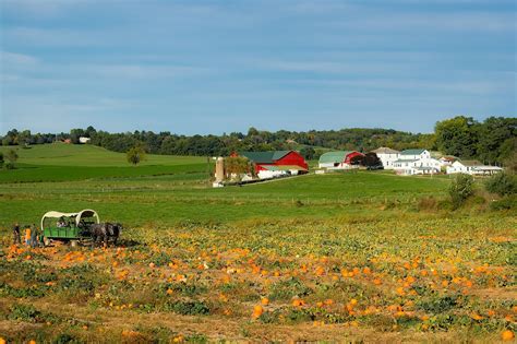 Amish Country Tours