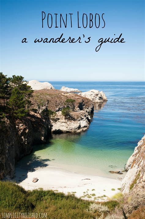 A Wanderer’s Guide To Point Lobos State Reserve, California ...