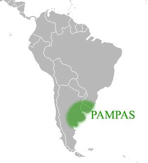 The Pampas: fertile South American lowlands that include Argentinian provinces, most of Uruguay ...