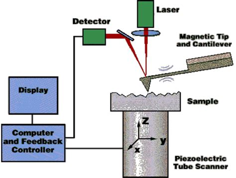 Schematic of a scanning probe microscope with major components ...